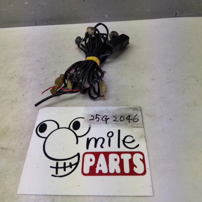 QNC21/QNC20 bB フットイルミネーション 1A3-1-6/25G2046*同梱不可拍卖