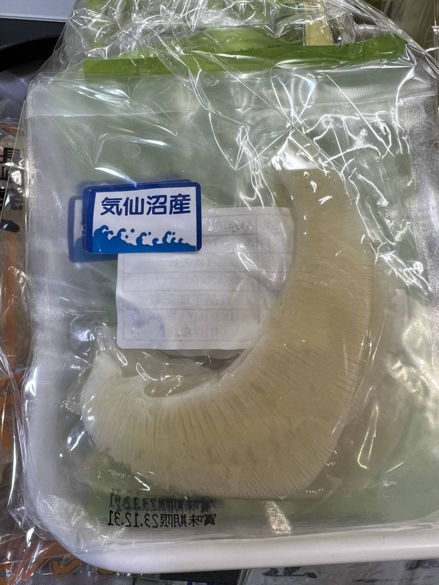 ミニ ふかひれ 1枚8〜12g 10枚セット 国内産拍卖