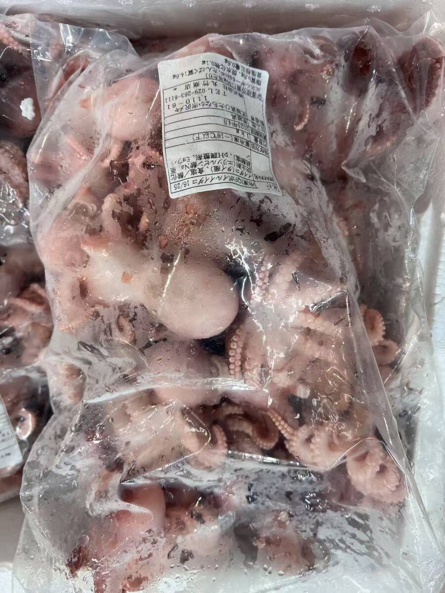 冷凍ボイルイイダコ 1kg入 国内加工 いいだこ拍卖