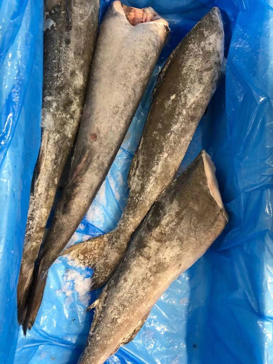 銀ダラ 1尾 約1.3~1.5kg 拍卖