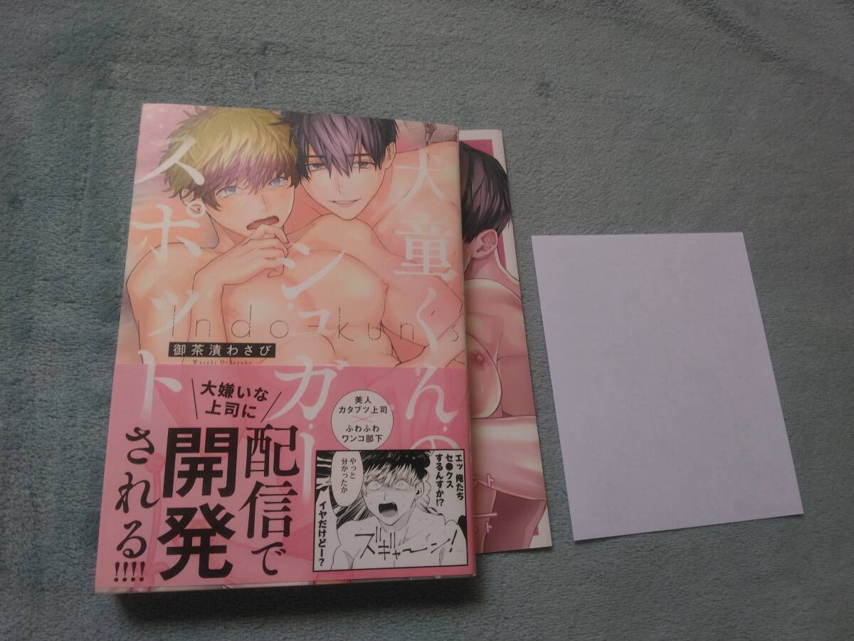 BL●お茶漬けわさび「犬童くんのシュガースポット」・特典つき拍卖