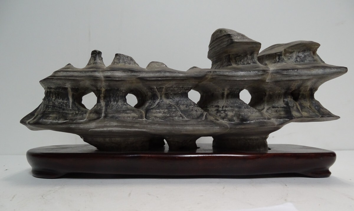 ・商品名: ・飾り石 ・震旦角石(中国湖北中奥陶世)・素材: 美石 (B3-HIO-R4-5-31-12.8)拍卖