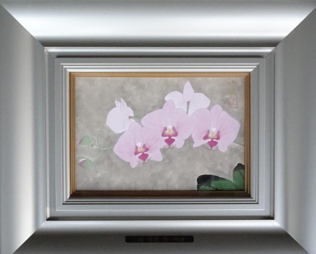 ・作者名: 三田 清晃 ・画題: 胡蝶蘭 ・技法: 日本画(原画) 〈B1-HIO-R4-5-19-85.8)拍卖