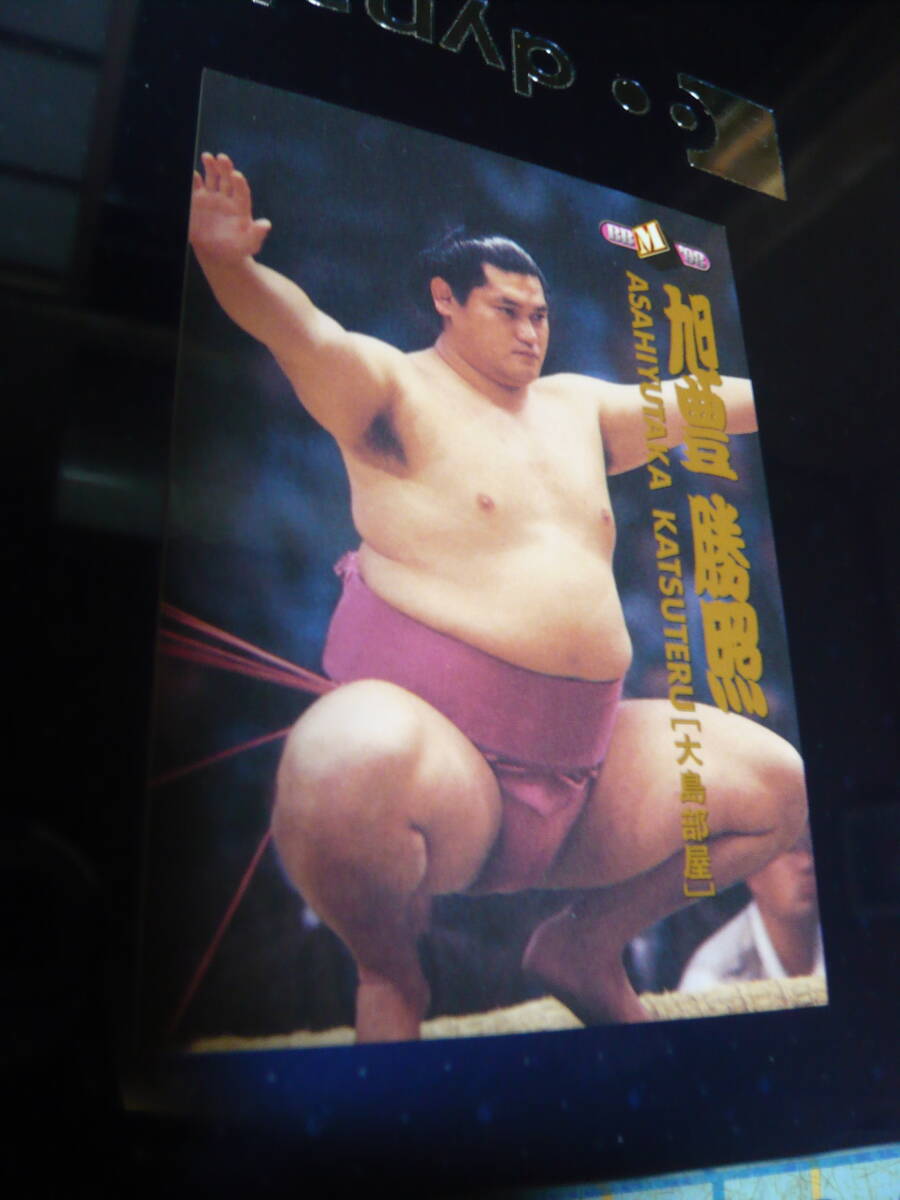 1998 BBM 大相撲 【旭豊 勝照】 #27 西版拍卖