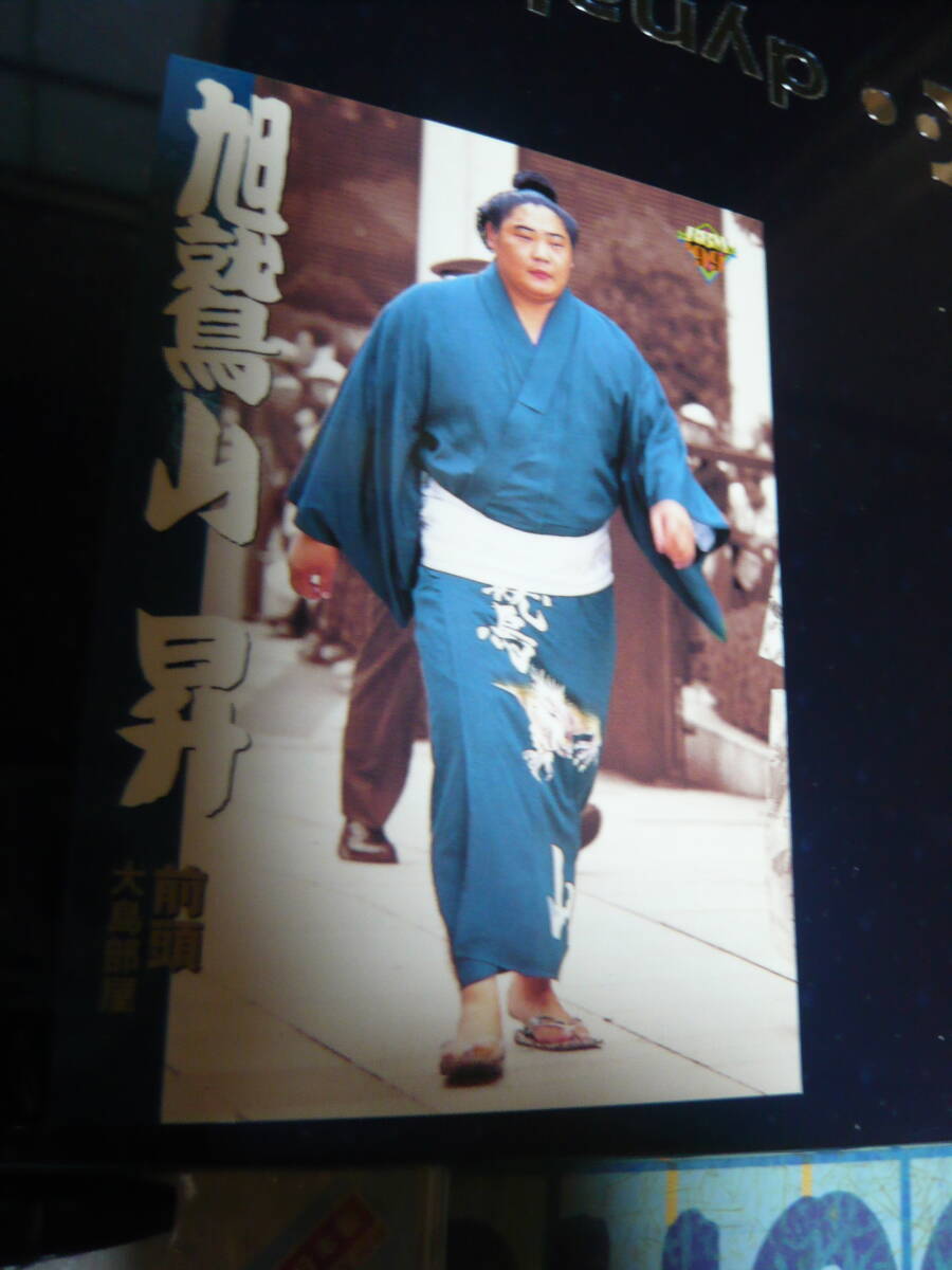 1999 BBM 大相撲 粋・着物姿 【旭鷲山 昇】 #84 下半期版拍卖