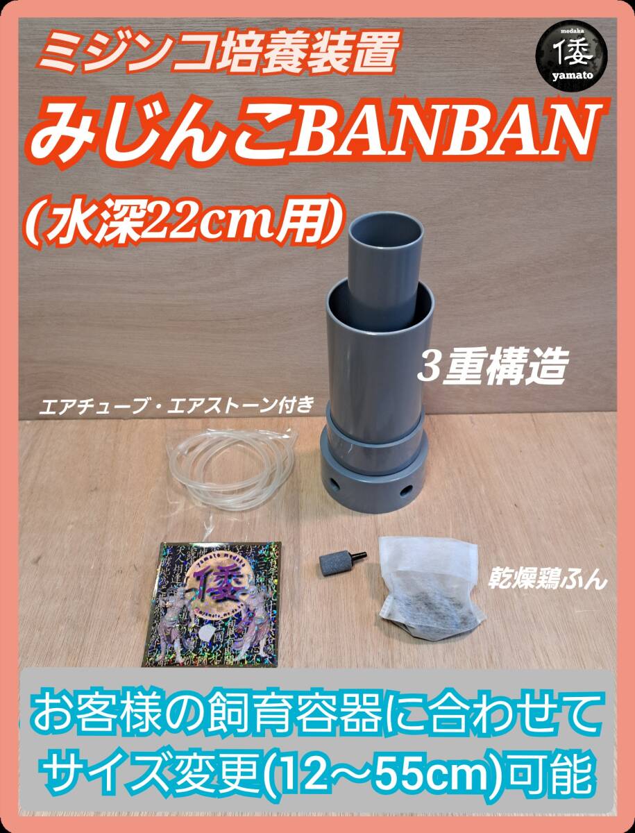 【倭めだか】 “みじんこBANBAN22” オオミジンコ タイリクミジンコ タマミジンコ ゾウリムシ 培養 装置 繁殖 増殖 メダカ稚魚 生餌拍卖