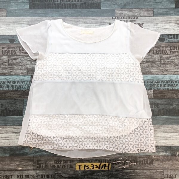 any sis エニィスィス レディース 花ボーダー シアートップス カットソー 2 青拍卖