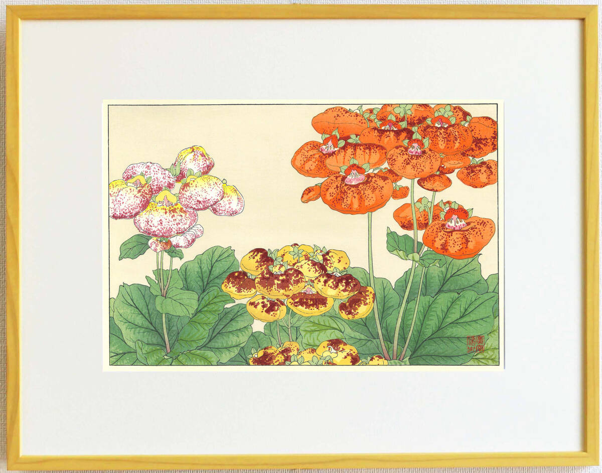 真作保証 額装 谷上廣南 木版画 カルセオラリア 西洋草花図譜 初版 昭和中期 今は亡き 摺りの巨匠新味氏の技をご堪能下さい!拍卖