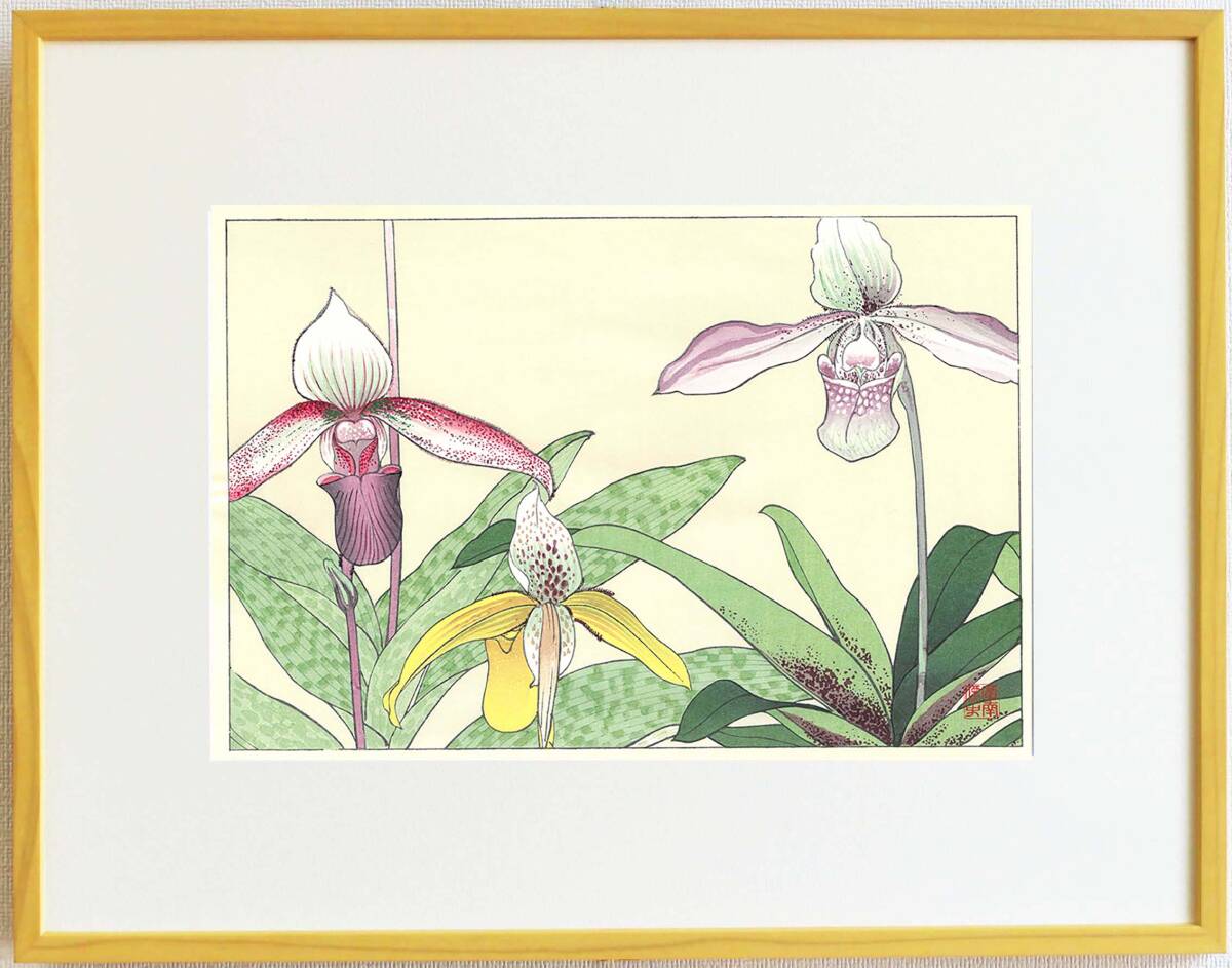 真作保証 額装 谷上廣南 木版画 シプリベジューム 西洋草花図譜 初版 昭和中期 今は亡き 摺りの巨匠新味氏の技をご堪能下さい!拍卖