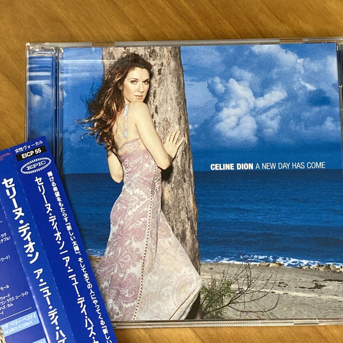 PR7105 CD *CELINE DION* A NEW DAY HAS COME 帯付拍卖