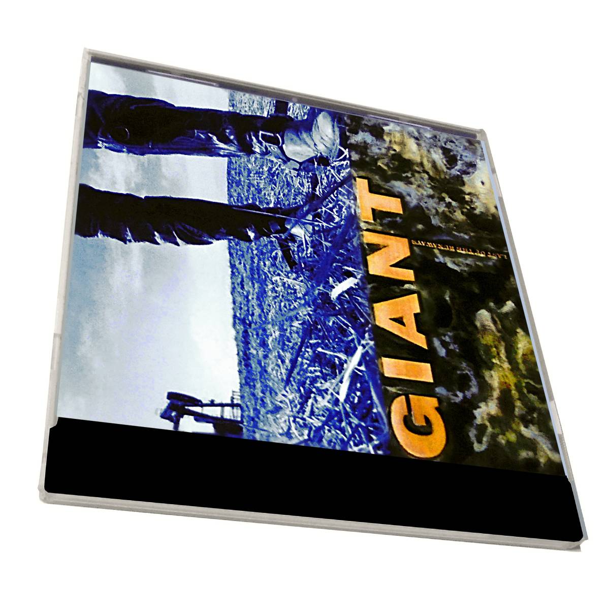 Whitesnake White Heart Fastway~ホリーズAORメロハーDANN HUFF GIANT Last Of The Runawaysジャイアント ラスト オブ ザ ランナウェイズ拍卖