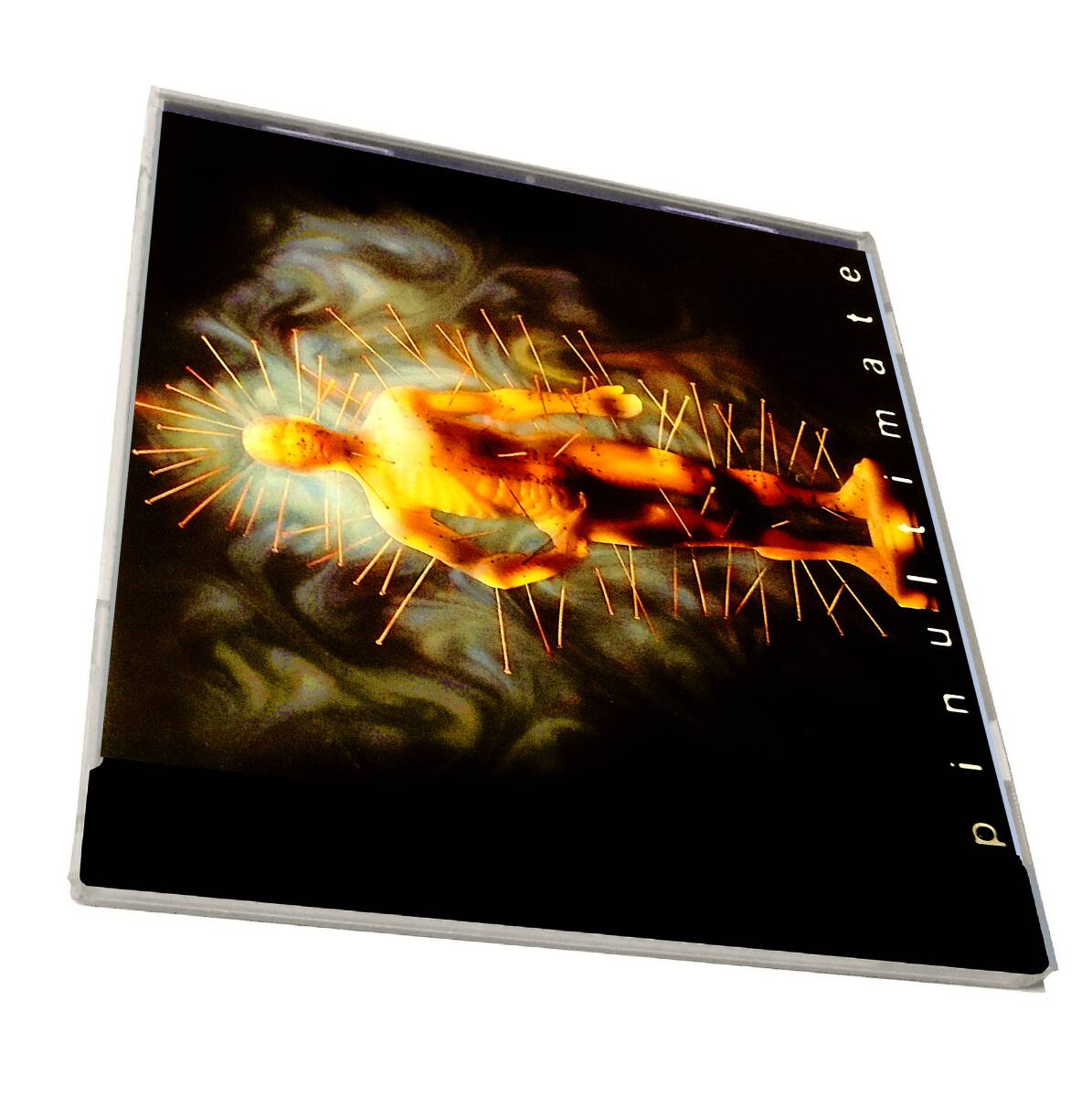 ~TNT Shy Nitrate Vega Marshall Law(T N Tシャイ)メロハー メロディアスハードポップ(ストライパー風)THE SHOCK Pinultimateザ ショック拍卖