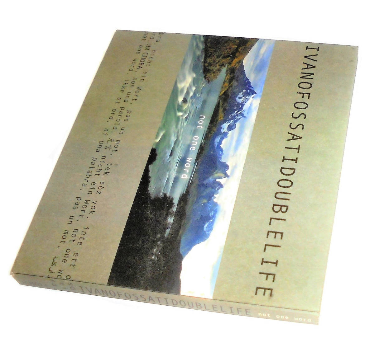 Fusion ユーロポップ イタリアンポップス(元 伊プログレDeliriumデリリウム)Gabriele Mirabassi IVANO FOSSATI DOUBLE LIFE Not One Word拍卖