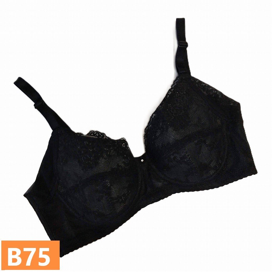 シャンデール ブラジャー B75 シャイニー ブラック 黒 夏ブラ メッシュ クール 新品 未使用 サンプル 補正下着 吸汗 速乾 s1272拍卖