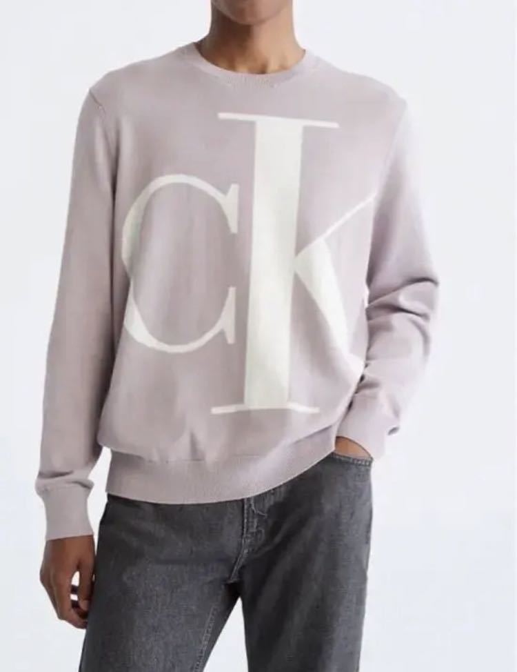送料無料 新品 CALVIN KLEIN メンズ クルーネックセーター XL拍卖