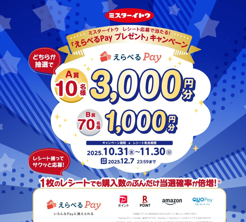 懸賞 応募 ミスターイトウ えらべるPay 3000円分 1000円分 当たる レシート拍卖