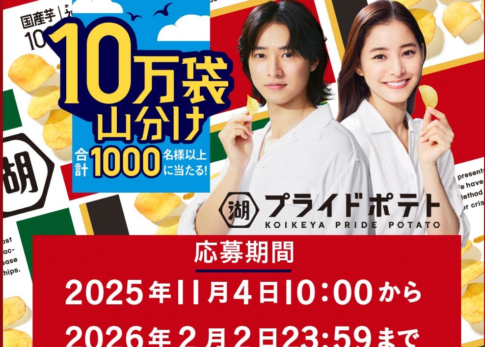 懸賞 応募 湖池屋 プライドポテト 湖池屋商品40袋 当たる レシート拍卖