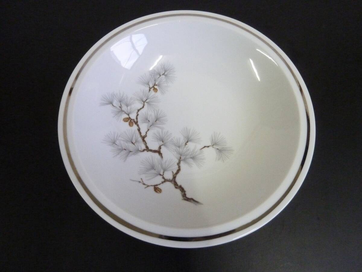 ★☆保管品・美品★料理皿 大皿・深皿 10枚セット★松絵柄☆★拍卖