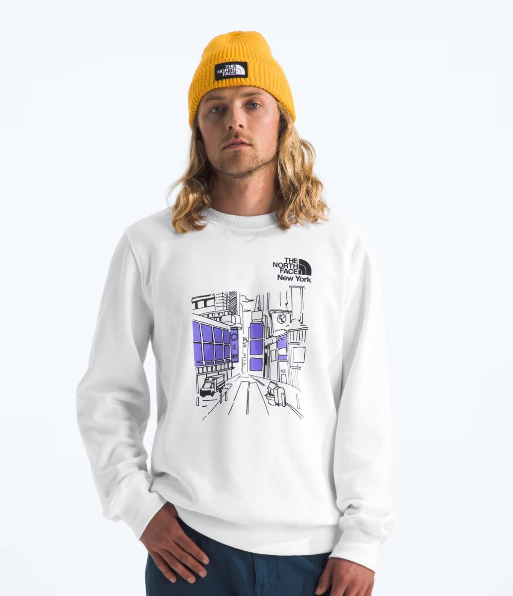 新品保管品 レア ■ノースフェイス THE North Face souvenir crew トレーナー ニューヨーク NYメンズ スウェット ロゴ 裏起毛 日本M相当拍卖
