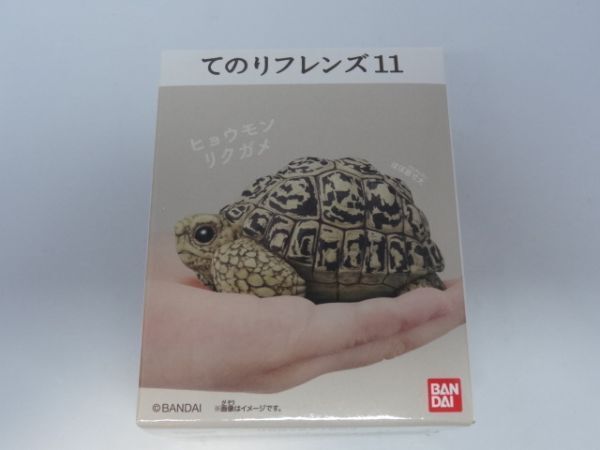 ★新品★てのりフレンズ11 「③ヒョウモンリクガメ」拍卖