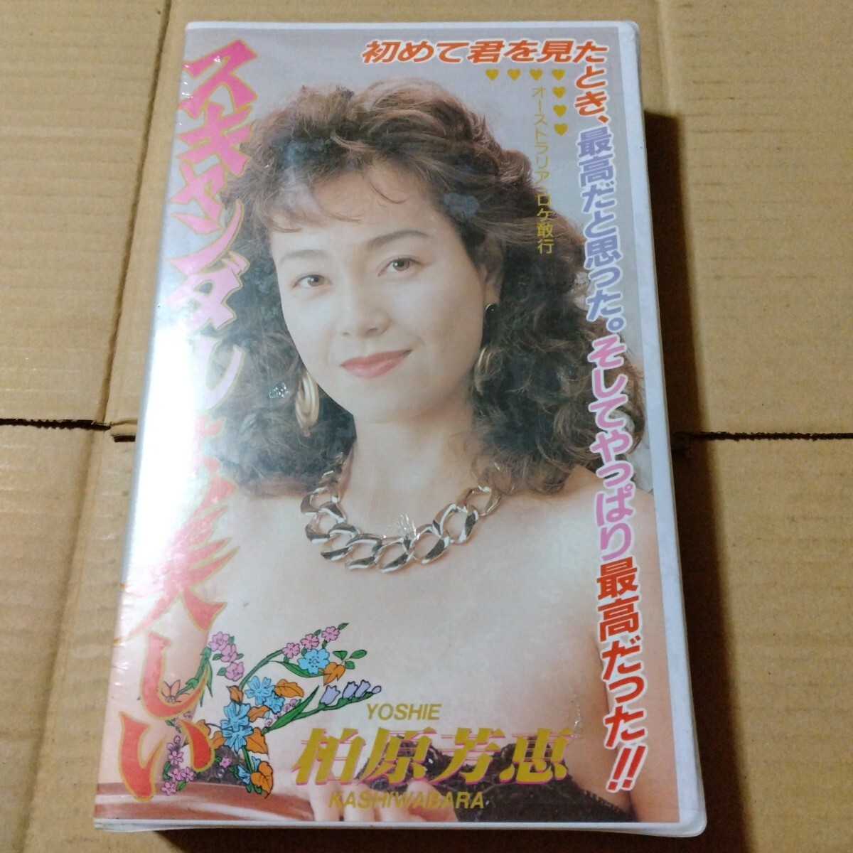 VHSビデオテープ柏原芳恵 スキャンダルは美しい オーストラリアロケ パワースポーツ 未開封拍卖