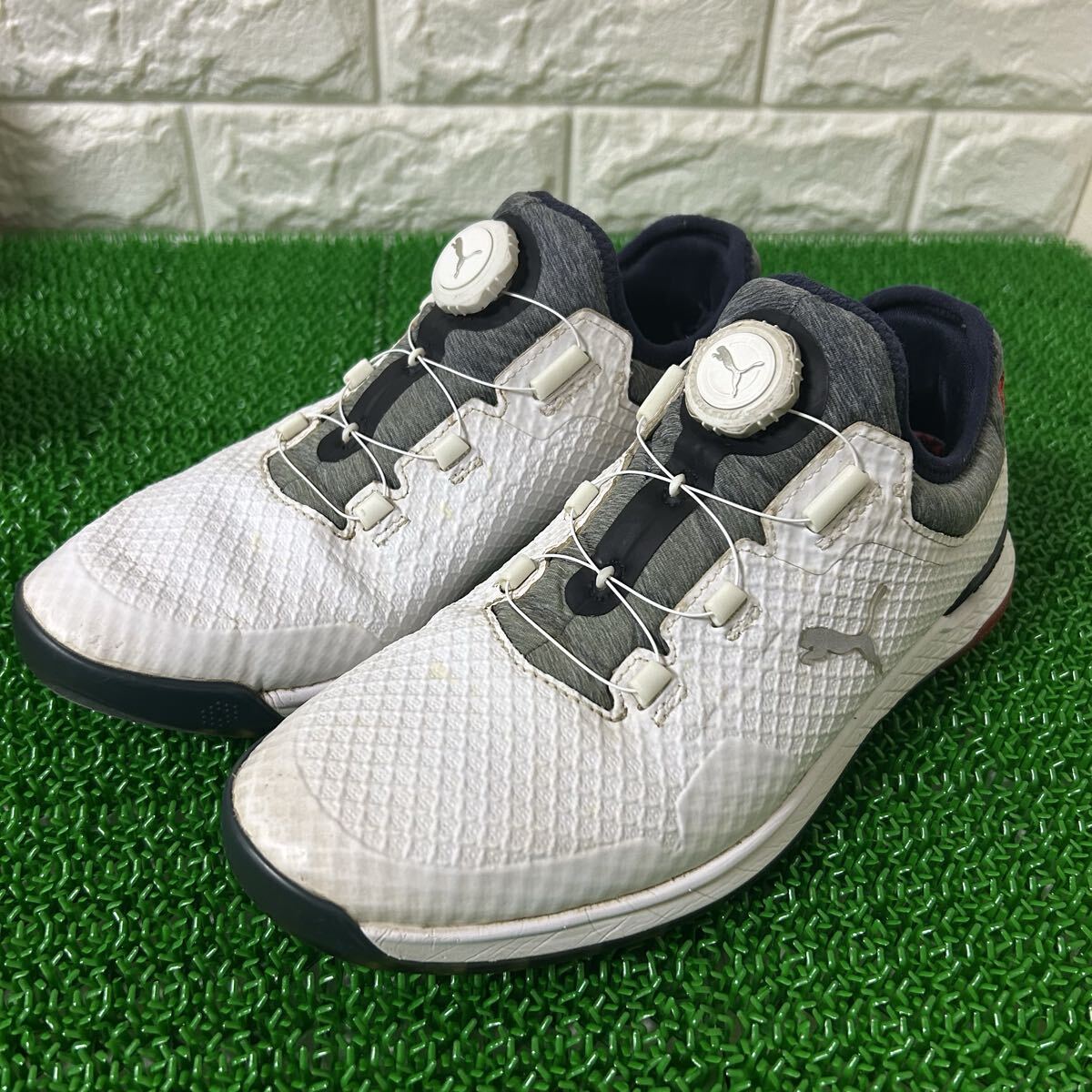 PUMA / プーマ ゴルフシューズ プロアダプトアルファキャット 25.5cm拍卖