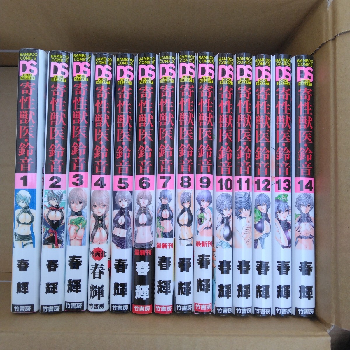 寄性獣医 鈴音 全14巻 初版本多数あり 春輝 竹書房 当時品 保管品 未読本拍卖