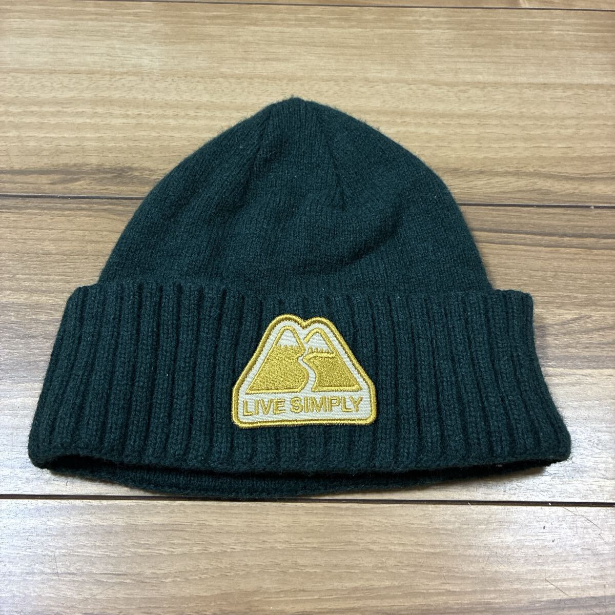 patagonia パタゴニア p6 ブロデオビーニー ビーニー ニット帽 グリーン 2018年製 LSMフリーサイズ 美品拍卖