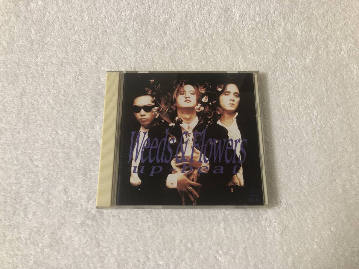 アップ・ビート ウィーズ・アンド・フラワーズ up-beat Weeds & Flowers 広石武彦拍卖