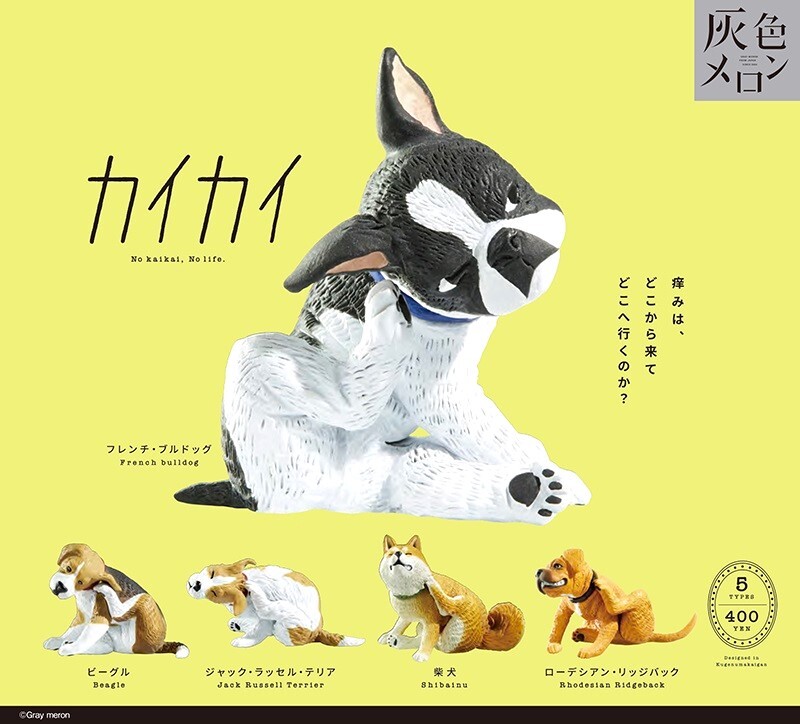 即決》灰色メロン カイカイ【全5種フルコンプセット】送料無料 新品未開封 匿名配送 いぬ 犬 ブルドック/ビーグル/ラッセルテリア/柴犬拍卖