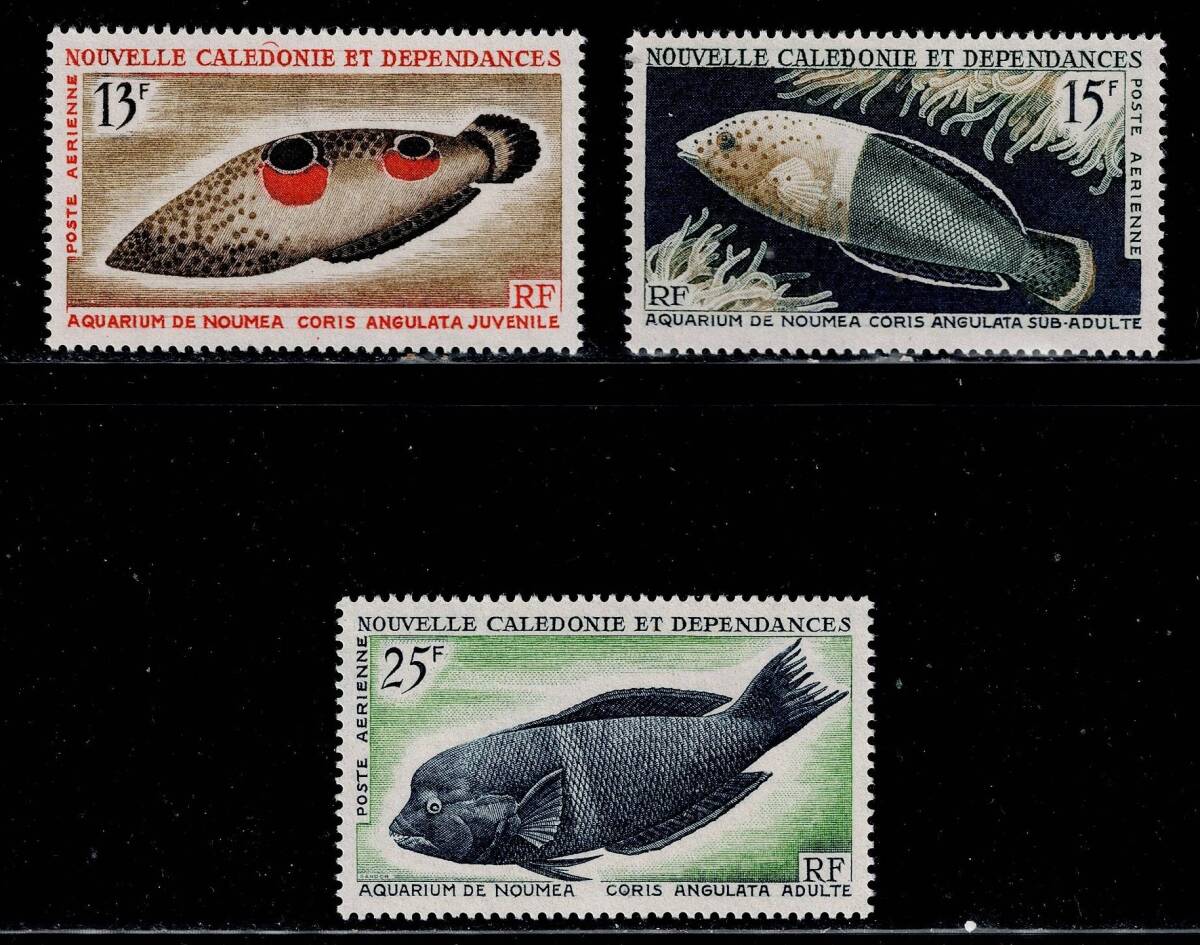 ★仏領・ニューカレドニア航空 1965年 魚 #C41~ 3種セット(未)拍卖