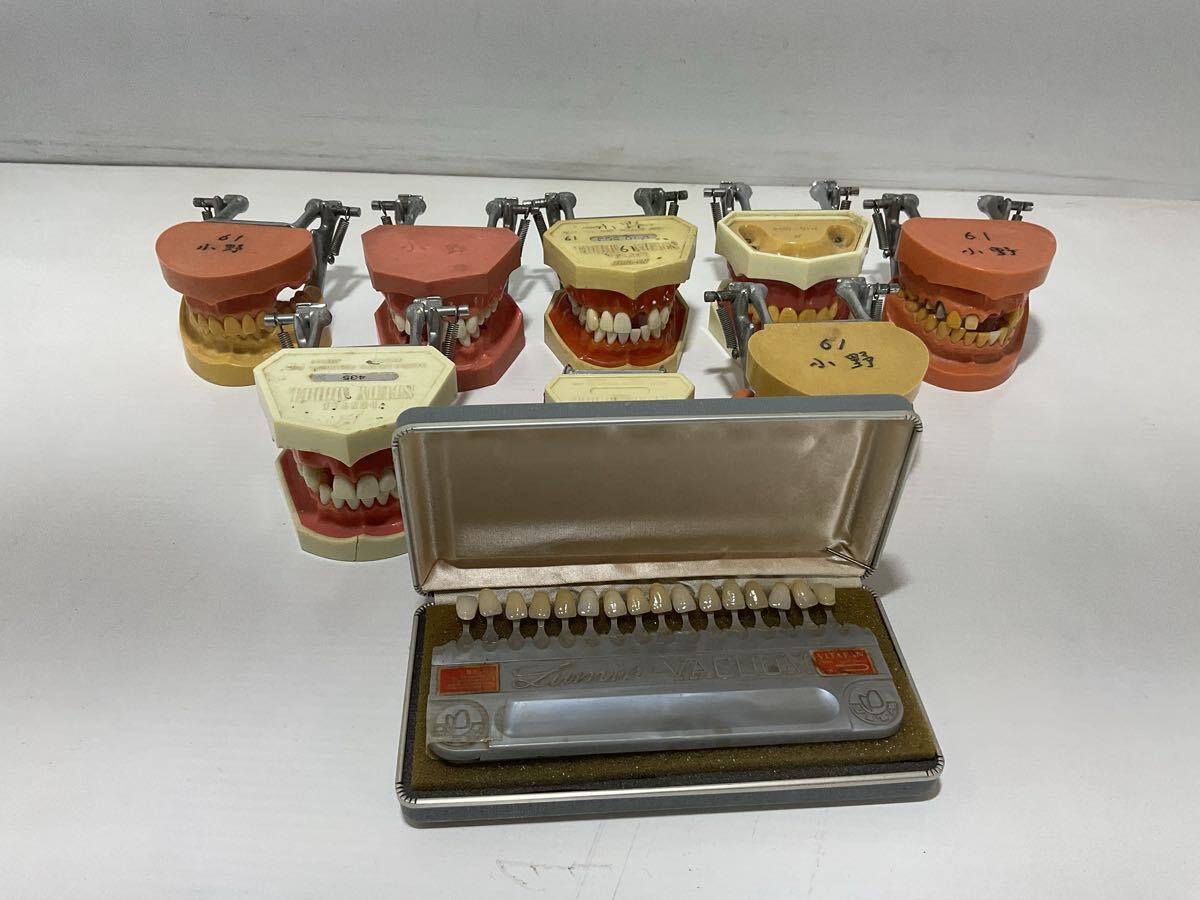 詳細不明【現状品】歯科用 練習模型 まとめ売り 歯科医療教材 技工士トレーニング 歯科模型 歯科技工 歯科診療拍卖