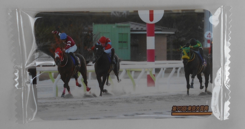 ◎まねき馬カード No.2634 第70回東京大賞典(未開封)フォーエバーヤング拍卖