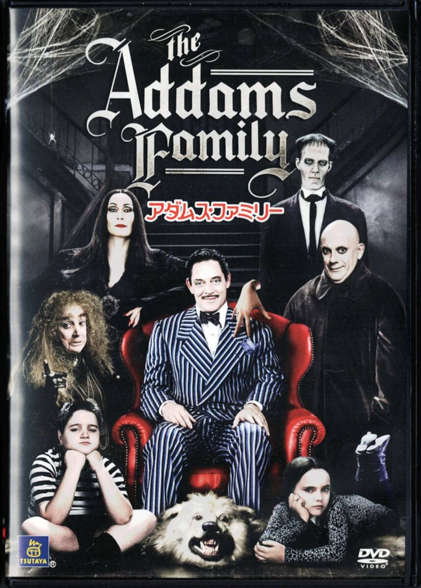 アダムス・ファミリー アンジェリカ・ヒューストン ラウル・ジュリア クリストファー・ロイド 監督:バリー・ソネンフェルド 吹替有り拍卖