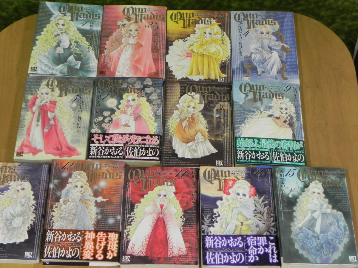 【不揃い13冊セット】クオ・ヴァディス/画 佐伯かよの/作 新谷かおる【1~5.7~12.14.15巻】幻冬舎コミックス LY-y39.25111060拍卖