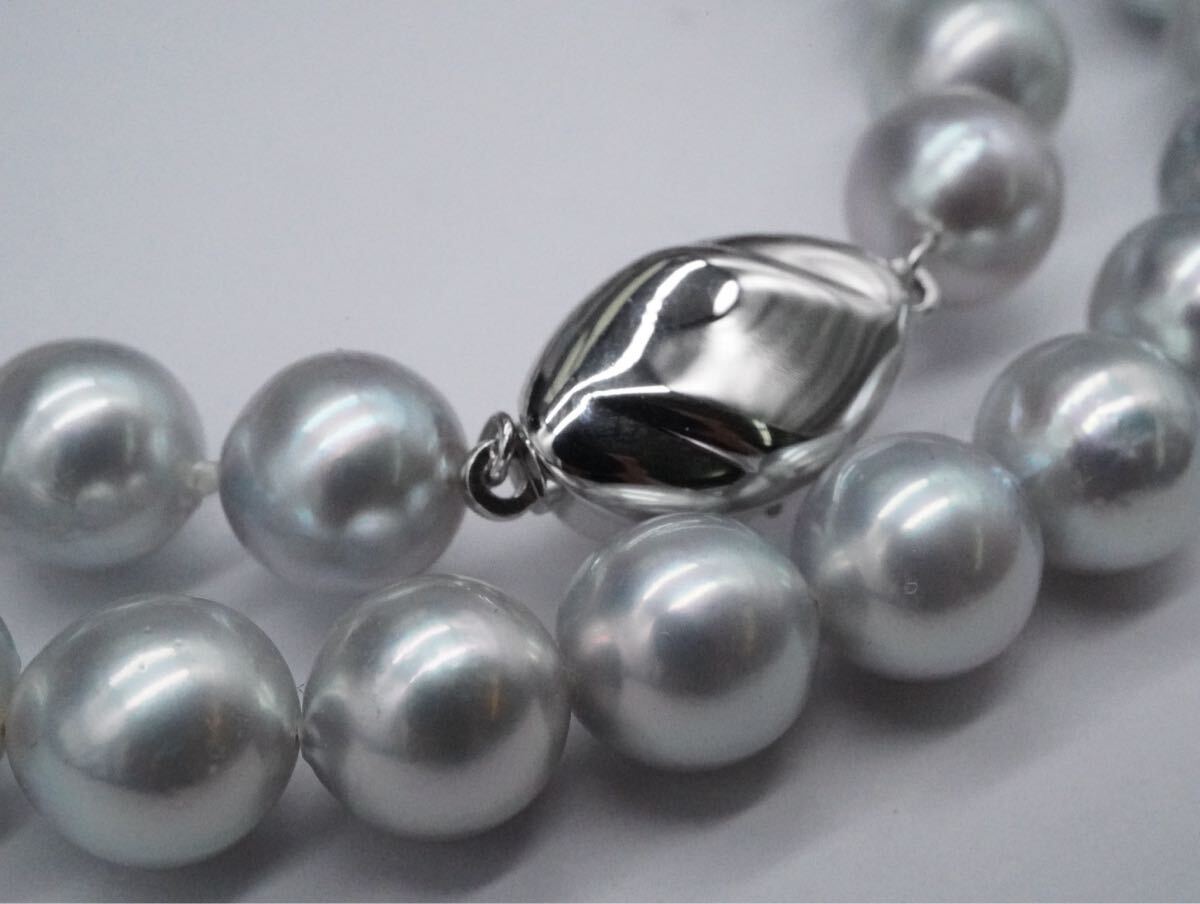 【32】本真珠 パール SILVER シルバー ネックレス 長さ約43cm 約8.2mm アクセサリー TIA拍卖