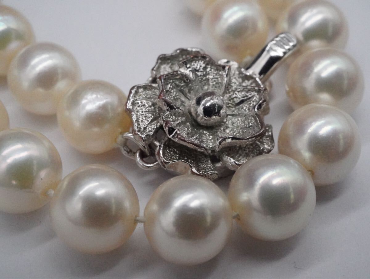 【28】本真珠 パール SILVER シルバー ネックレス 長さ約43cm アクセサリー TIA拍卖