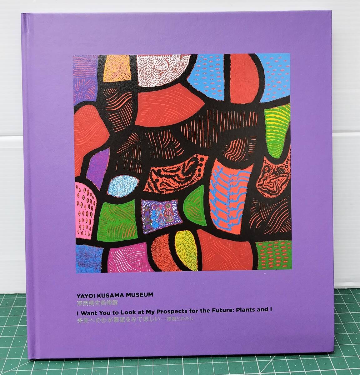図録 草間彌生 未来への展望をみてほしい 植物とわたし 2018年 草間彌生美術館 作品集 画集 カタログ●H5516拍卖