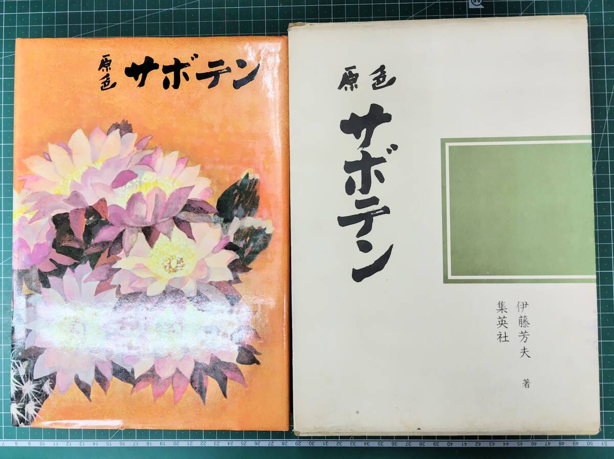原色サボテン 伊藤芳夫 集英社 1973年2刷 ●H5509拍卖