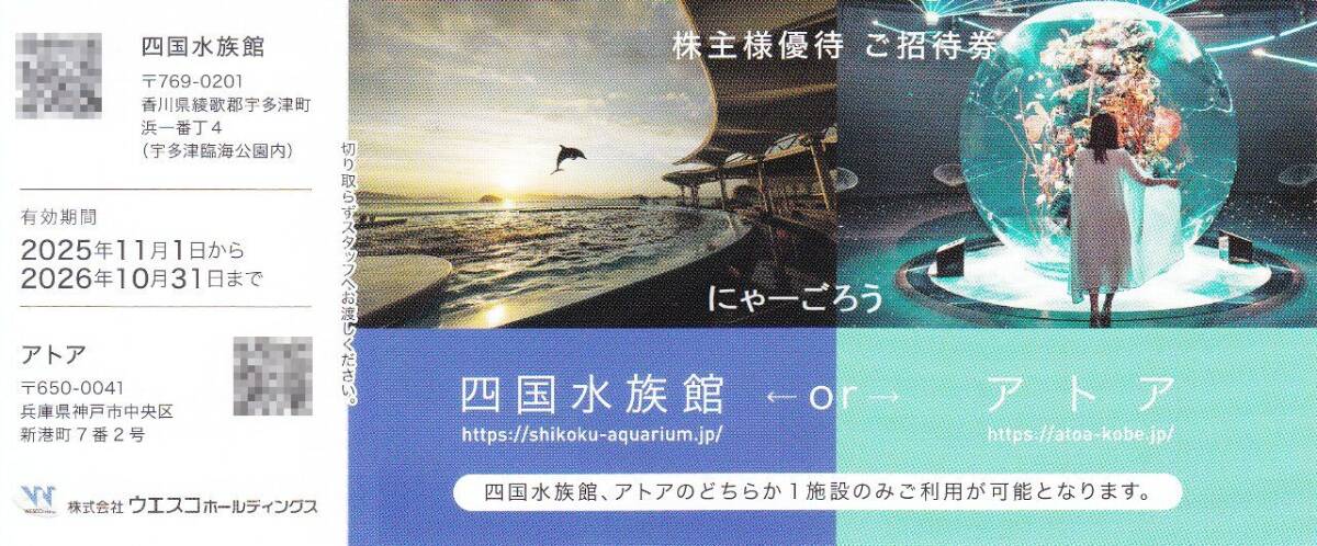 ★ 四国水族館・アトア 招待券1枚 ウエスコホールディングス 株主優待券★拍卖