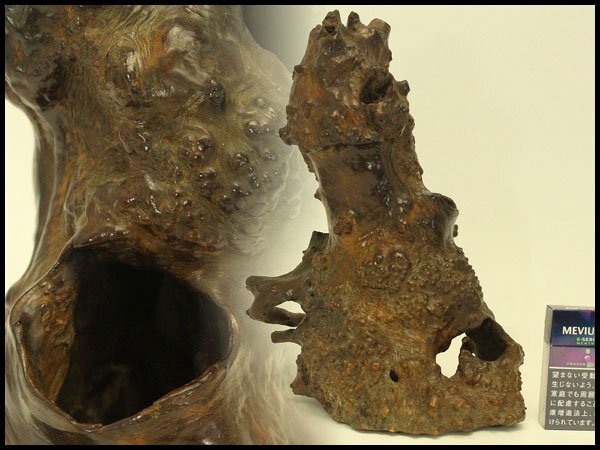 【銀閣】自然木 根木 奇木 置物 旧家蔵出 送料無料(A917)拍卖