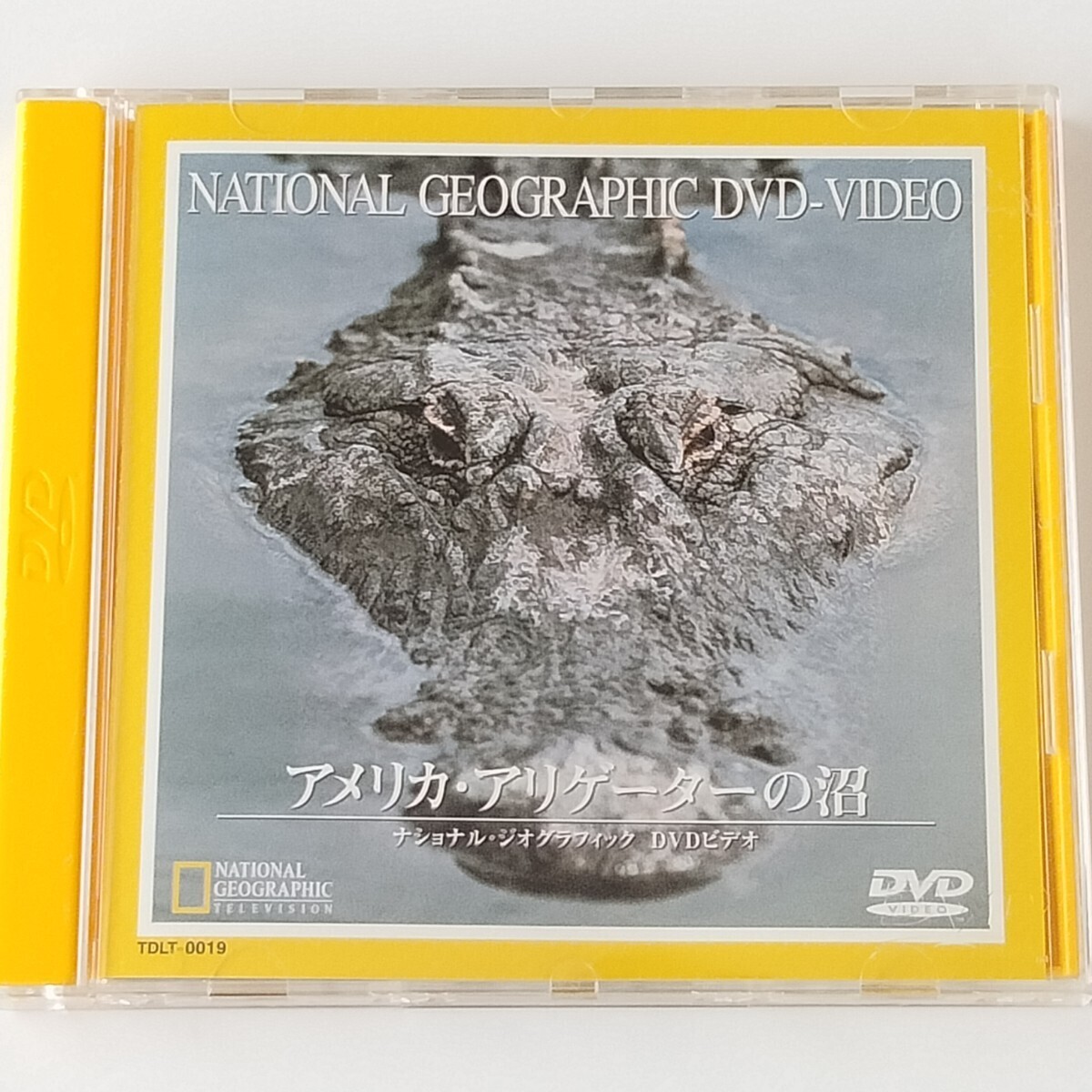 【二カ国語版/DVD】アメリカ・アリゲーターの沼(TDLT-0019)ナショナル・ジオグラフィック DVD ビデオ/NATIONAL GEOGRAPHIC/爬虫類 ワニ拍卖