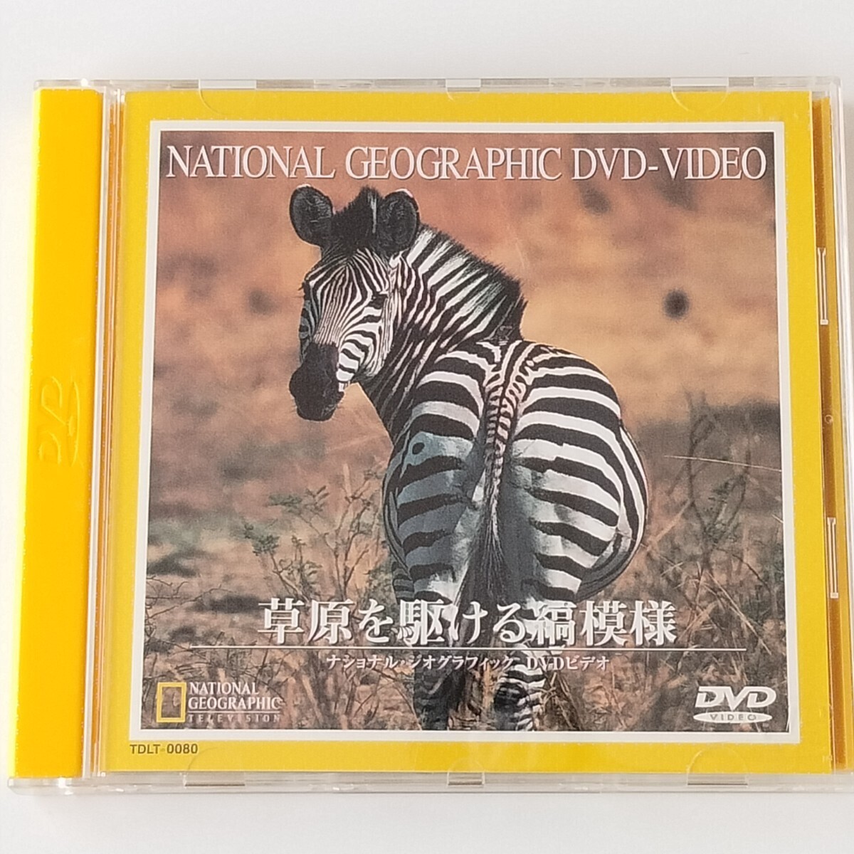 【二カ国語版/DVD】草原を駆ける縞模様(TDLT-0080)ナショナル・ジオグラフィック DVD ビデオ/NATIONAL GEOGRAPHIC/アフリカ/シマウマ拍卖