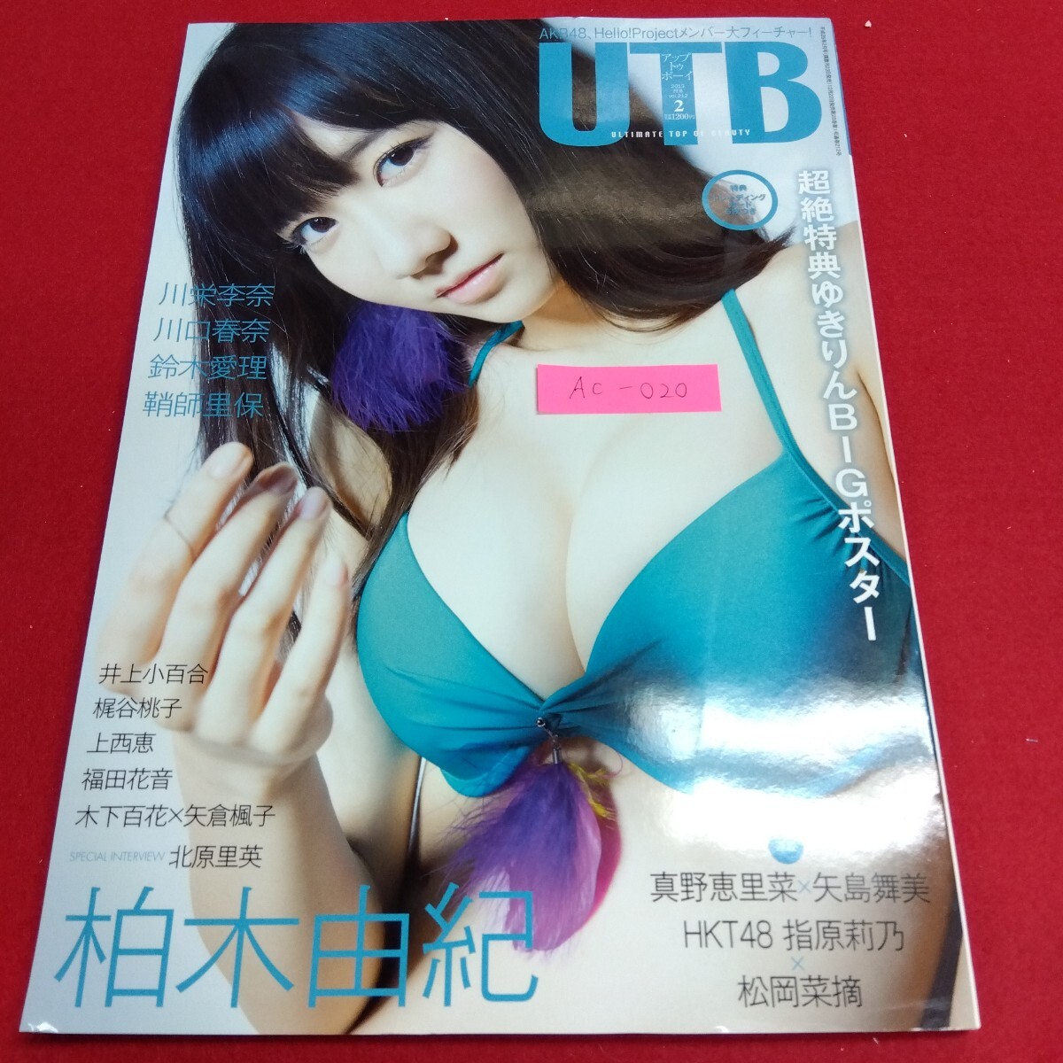 Ac-020/UTB アップトゥボーイ 2013 vol.212 2月号 柏木由紀 川栄李奈 川口春奈 鈴木愛理 鞘師里保 /L4/71105拍卖