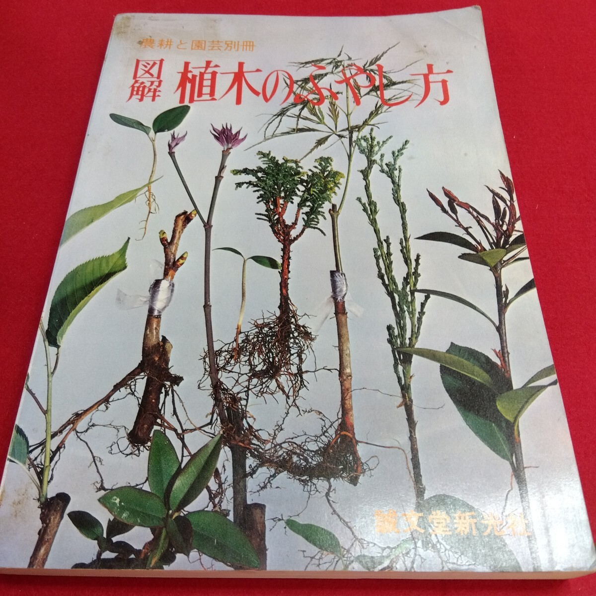 Ac-022/農耕と園芸別冊 図解 植木のふやし方 誠文堂新光社 農耕と園芸ガーデンライフ編/L4/71106 拍卖