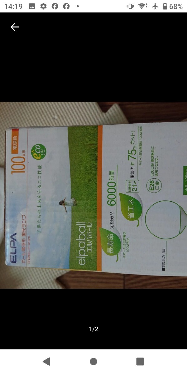 ELPA ボール電球形蛍光ランプ 100W形 電球色 EFG25EL/21-G102H拍卖