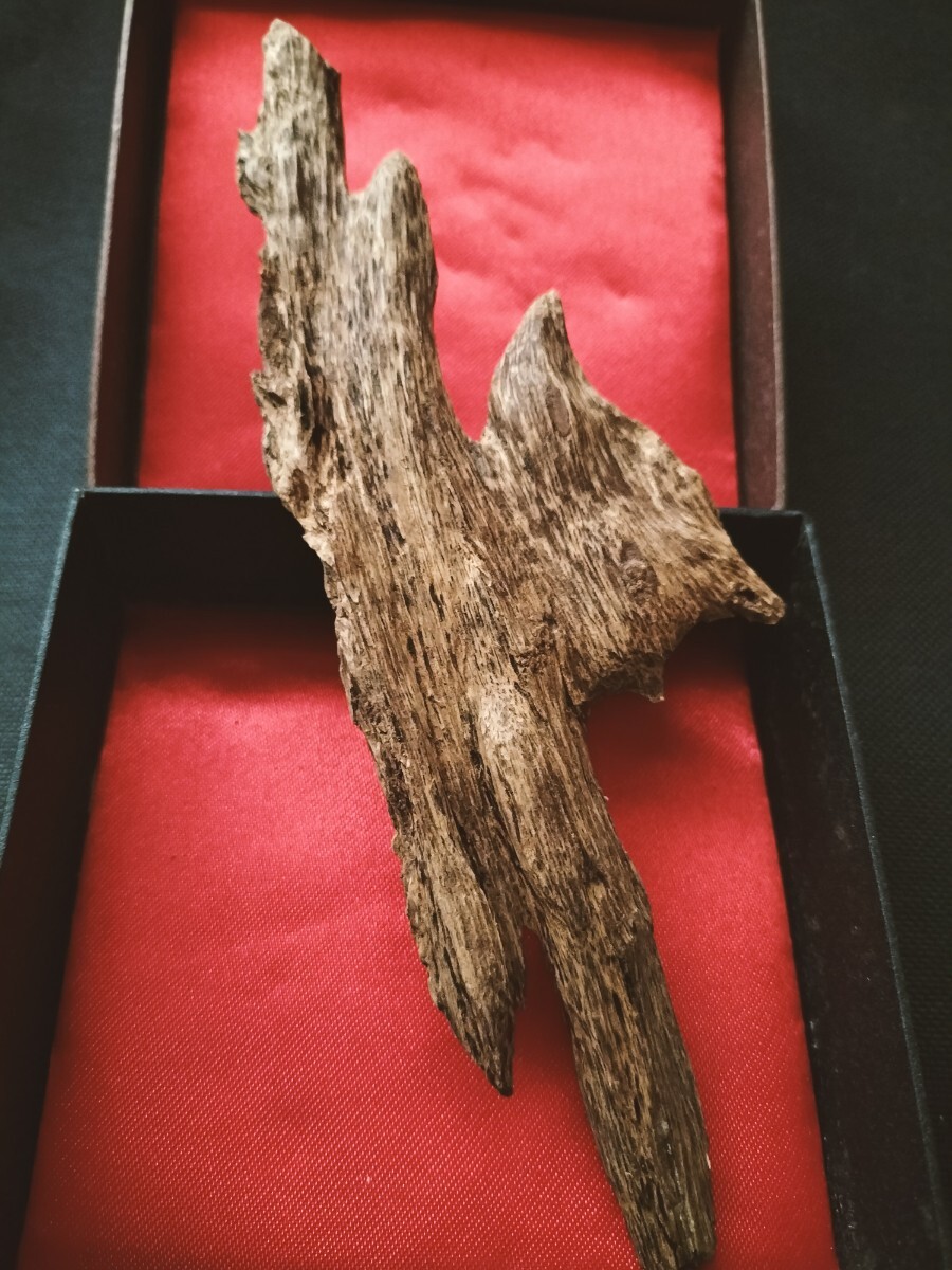 希少!インドネシア産 カリマンタン産 タニ沈香 原木 オブジェにも 香木 インドネシア沈香25.4g拍卖