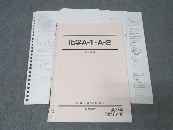 駿台 化学A-1・A-2 テキスト 2024 2次私大 石川正明 005s0C拍卖
