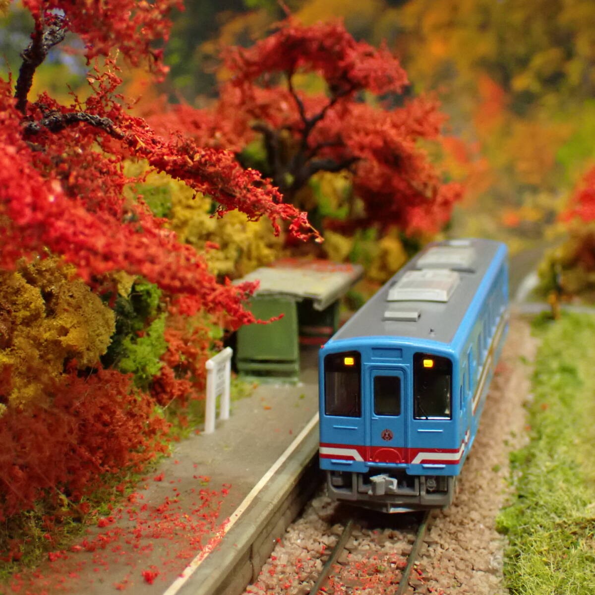 ★走行可能★ケース付 ミニレイアウト《紅葉2025 落葉に染まる駅》日本の秋、ローカル線の情景・ 作例画像車両 /樽見鉄道 ハイモ330型拍卖