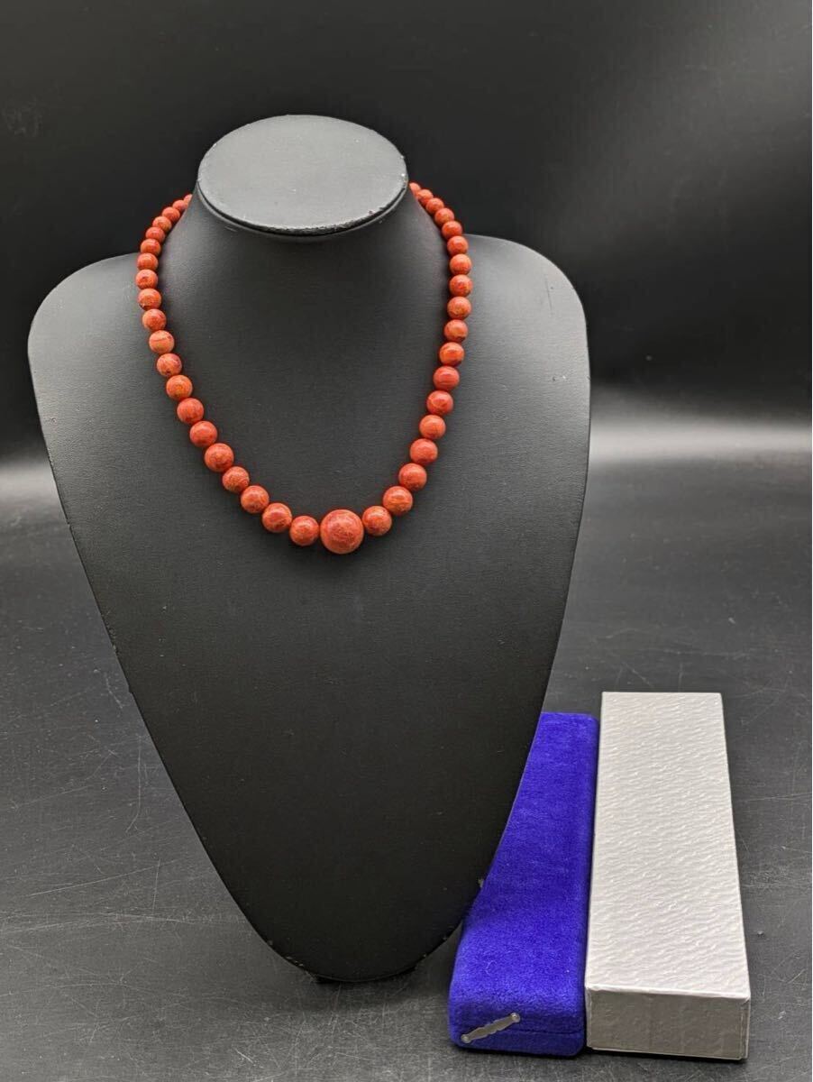 春名 11月 No.54 血赤 珊瑚 サンゴ ネックレス 留め具 SILVER シルバー アクセサリー ケース付き レディース 留め具汚れあり拍卖